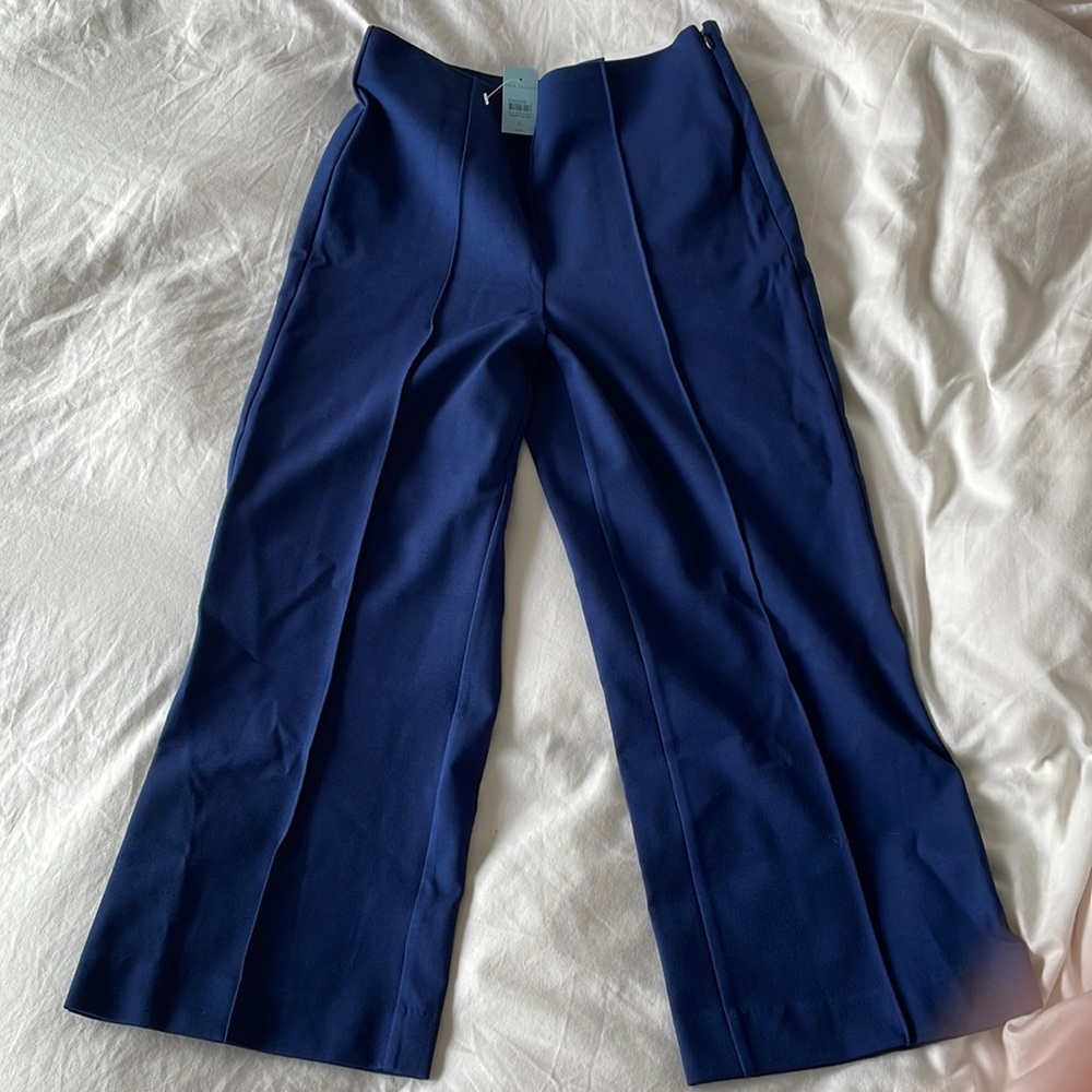 Ann Taylor Petite Side Zip Wide Leg Crop Pant